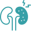 Renal Disorder