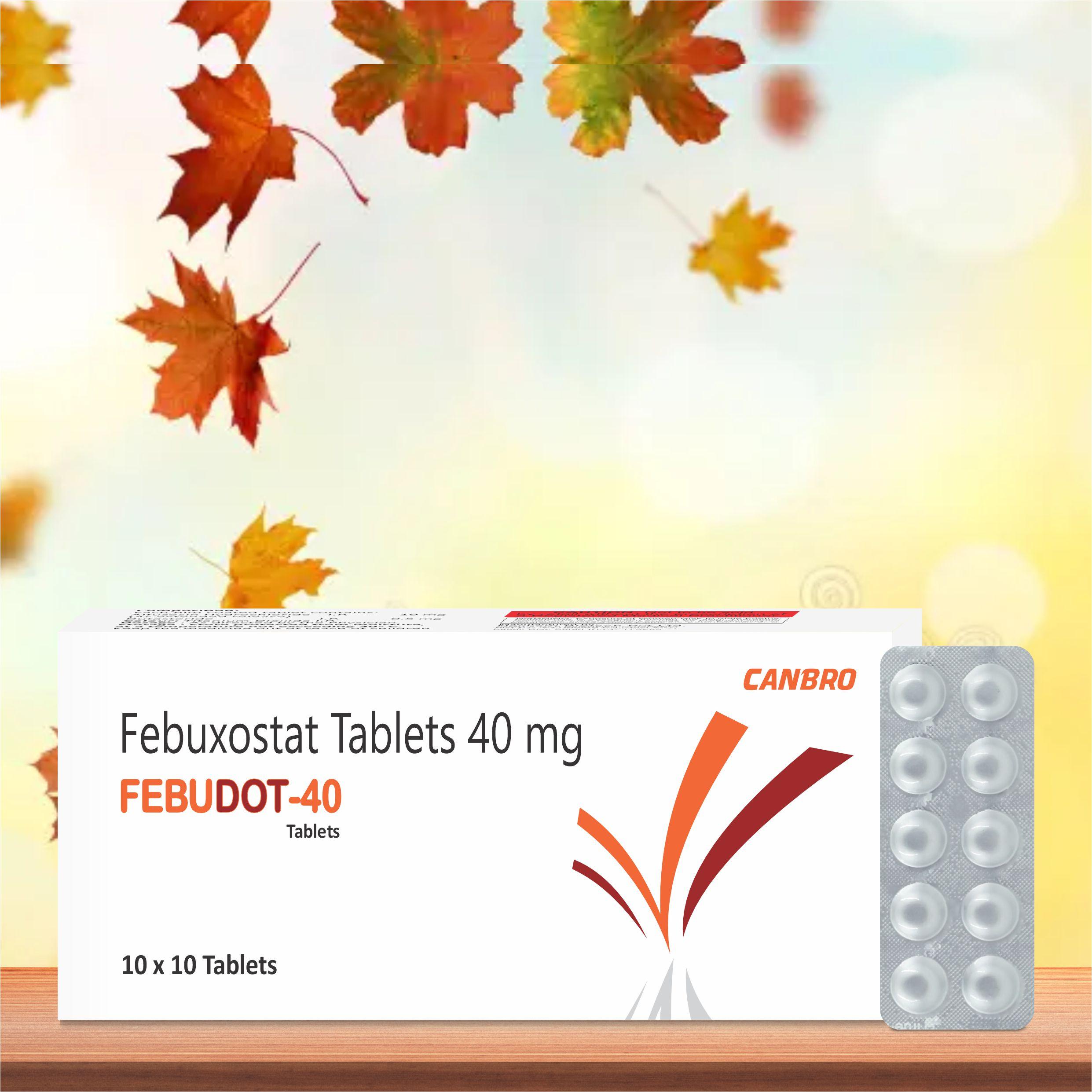 Febuxostat Tablets