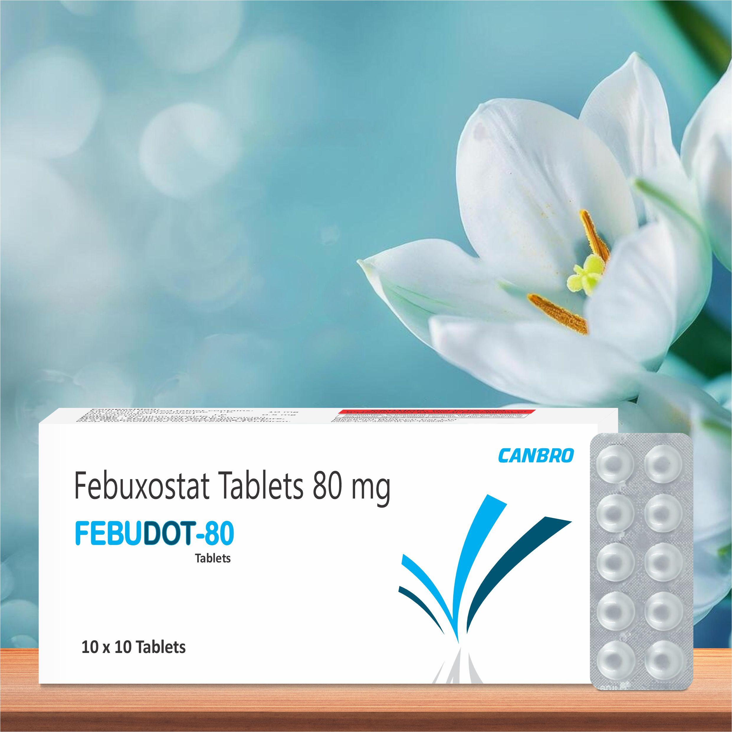 Febuxostat Tablets 80 mg
