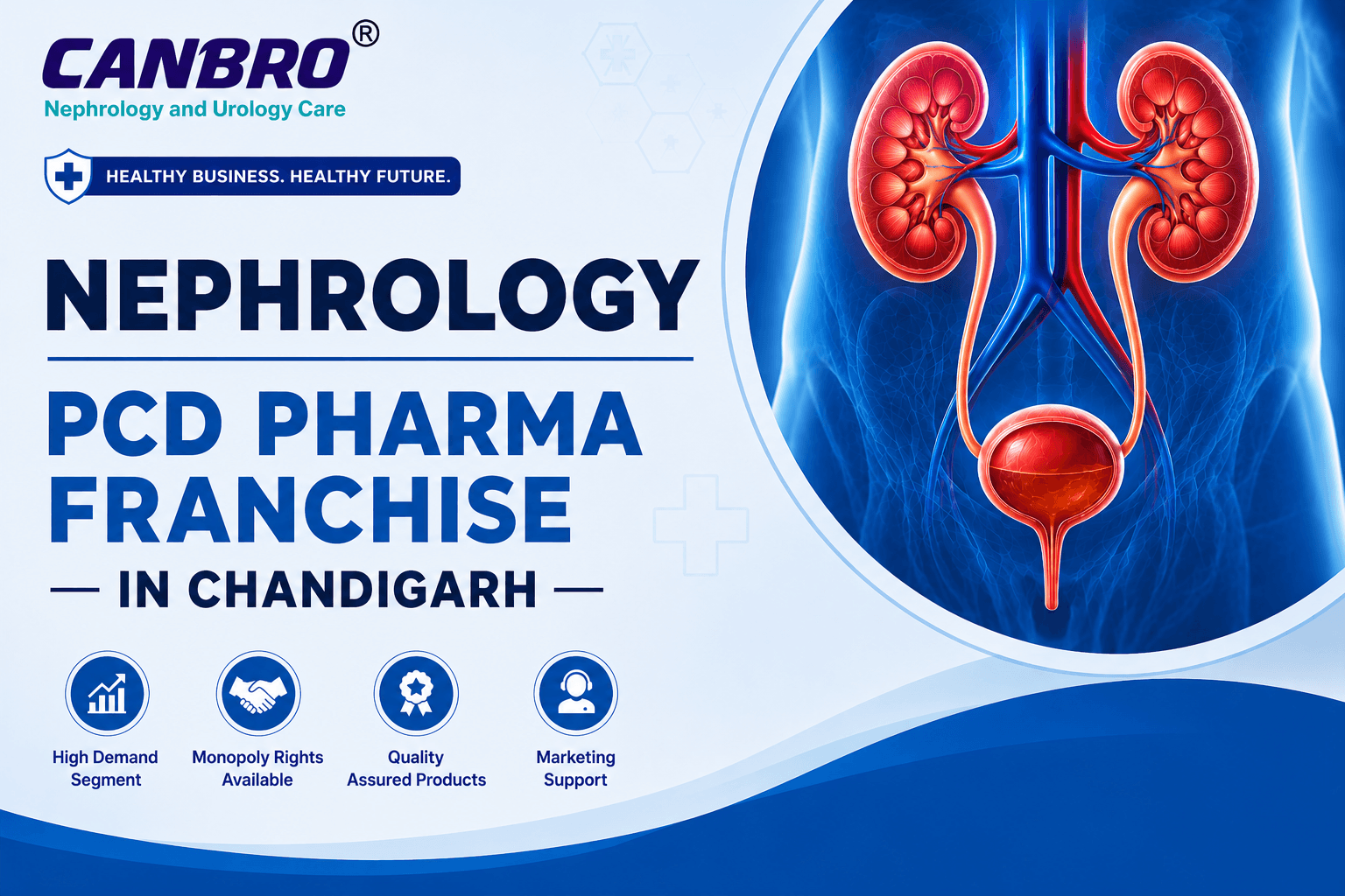 Nephrology PCD Pharma Franchise In Chandigarh